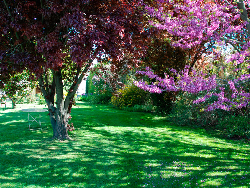 Jardí comunitari
